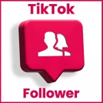 TikTok Follower product image