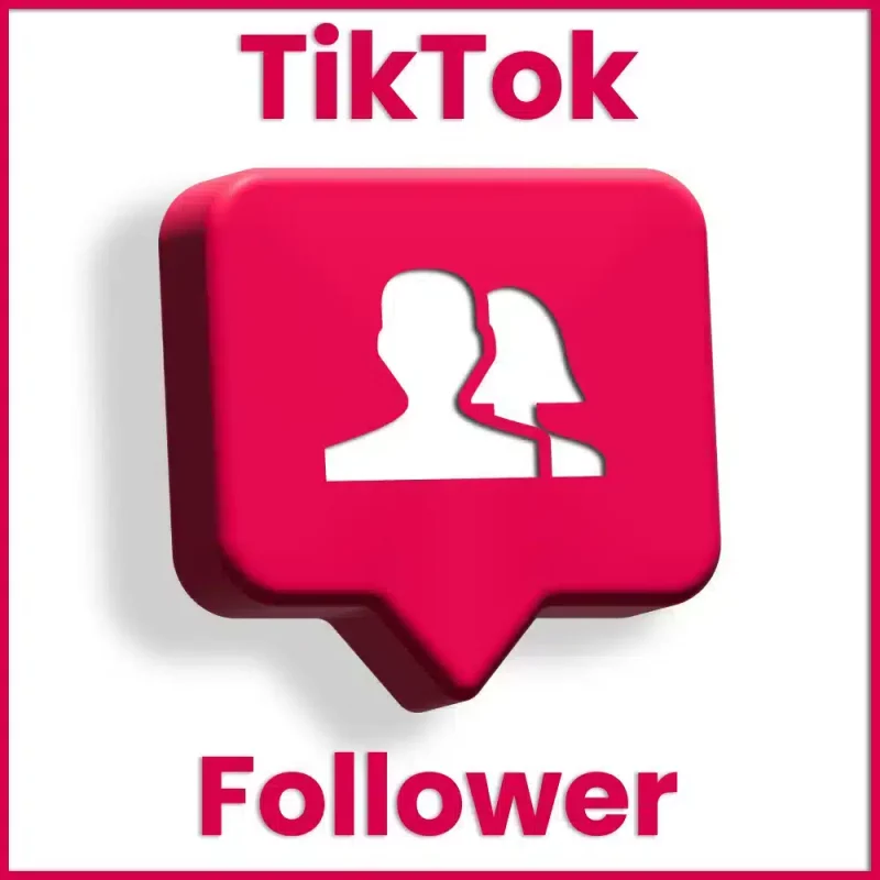 TikTok Follower product image