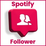 Spotify Follower product image