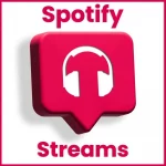 Spotify Streams product image